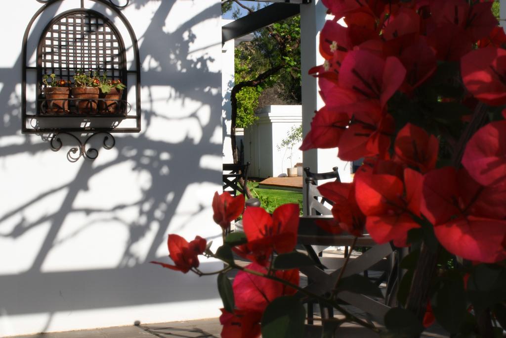 Lemon & Lime Guesthouse Bloemfontein Eksteriør billede