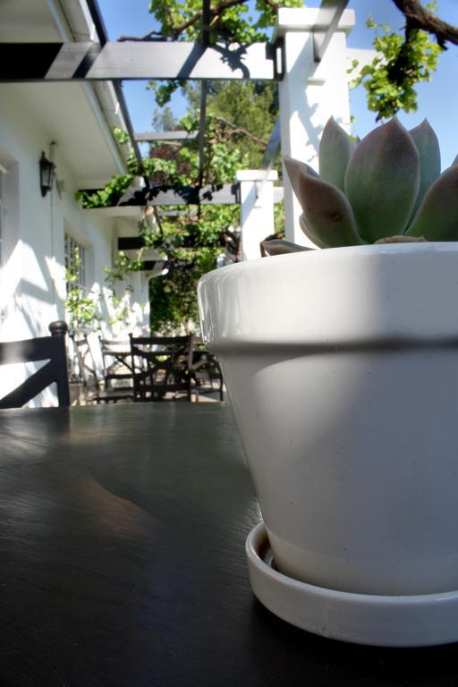 Lemon & Lime Guesthouse Bloemfontein Eksteriør billede