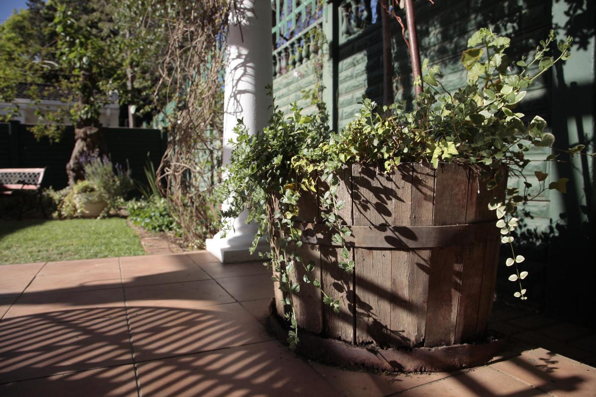 Lemon & Lime Guesthouse Bloemfontein Værelse billede